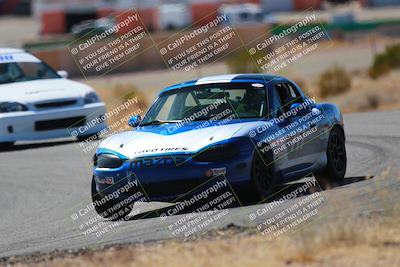 media/Mar-08-2025-Extreme Speed (Sat) [[4abb97269e]]/Purple/Turns 2  and  4 (Session 2)/